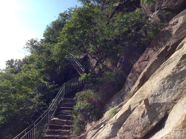 農(nóng)家樂(lè)農(nóng)場(chǎng)給人類文明發(fā)展帶來(lái)哪些好處