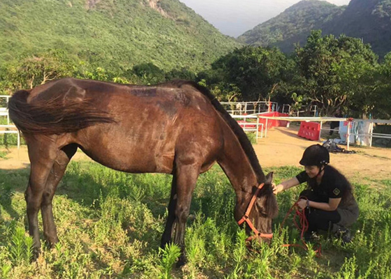 深圳生態園游玩推薦老虎溝生態農場