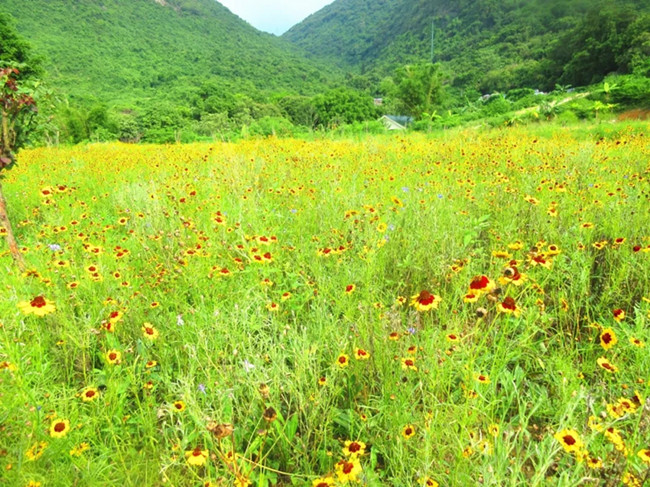 深圳農家樂深圳老虎溝生態農場為何那麼火