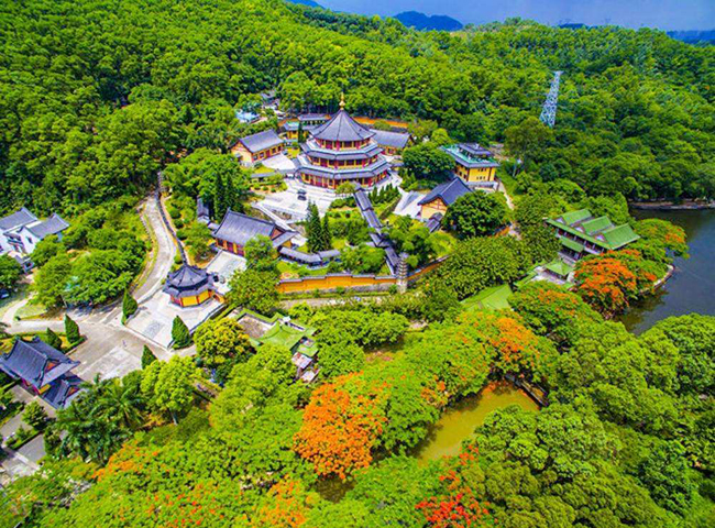 深圳老虎溝生態農場的優點