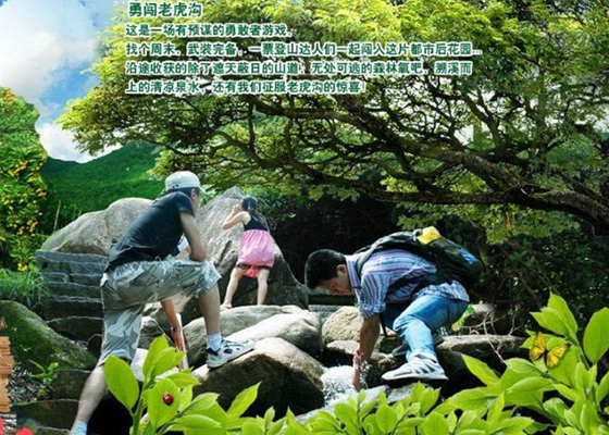 深圳老虎溝生態農場有什么好玩的項目？