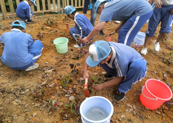 一年一度的植樹節就快來到，帶上小孩到老虎溝生態農場體驗農耕樂趣吧！