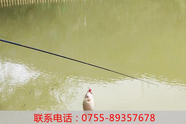 深圳農家樂分享農家樂釣魚技巧