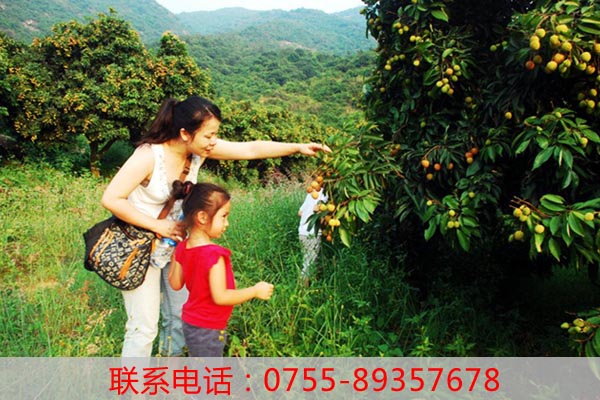 暑假親子活動_深圳農家樂深圳老虎溝生態農場為何那麼火