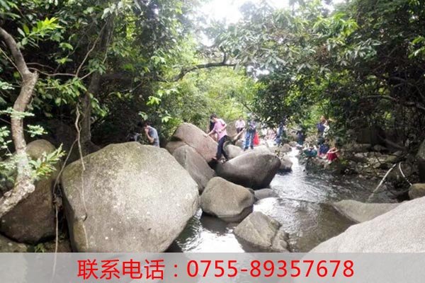 深圳周邊游_園山風景區爬山游記老虎溝生態農場