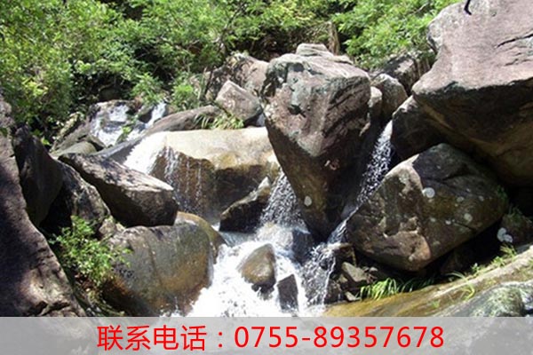 深圳農(nóng)家樂推薦_農(nóng)家樂旅游一般都有哪些項目？